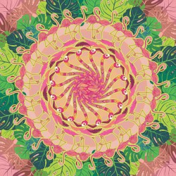 Mandala Flamingos